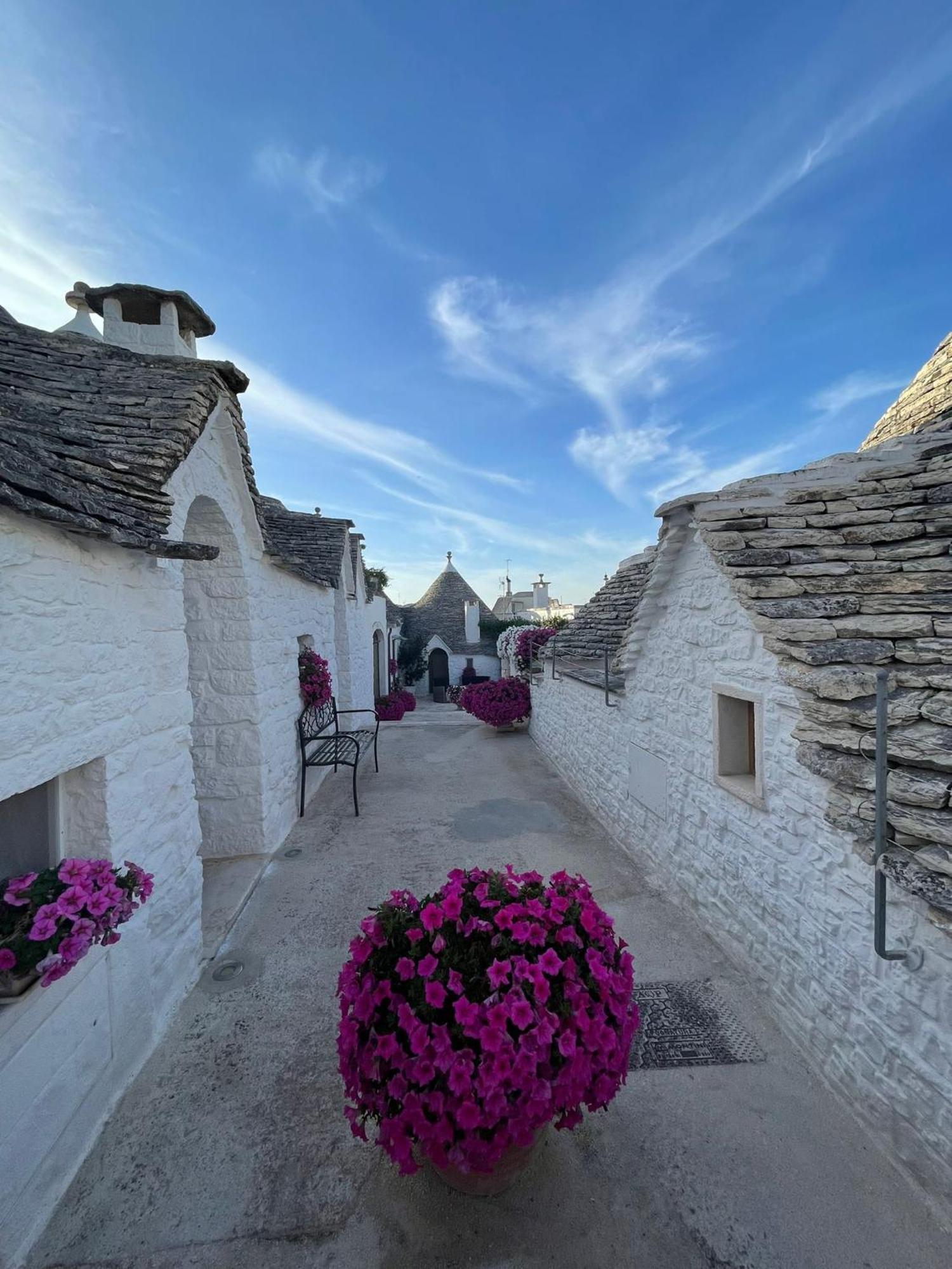 Rosas Guest House - La Cementina 巴里 外观 照片